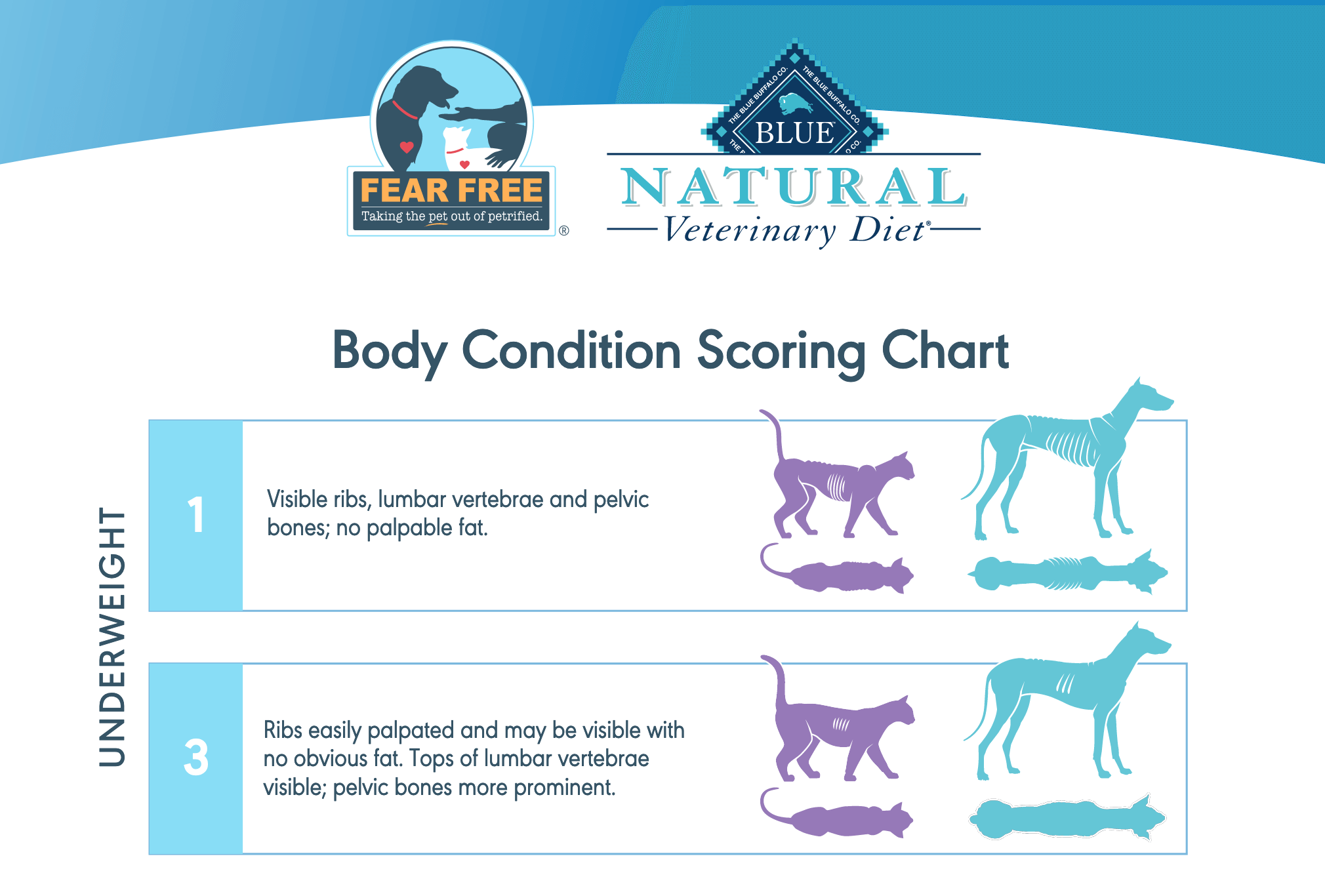 Body Condition Score